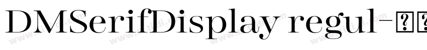 DMSerifDisplay regul字体转换